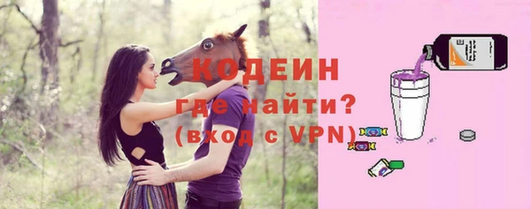 дмт Абаза