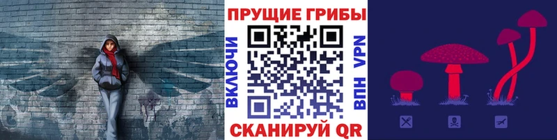 Псилоцибиновые грибы Magic Shrooms дарнет шоп Советск
