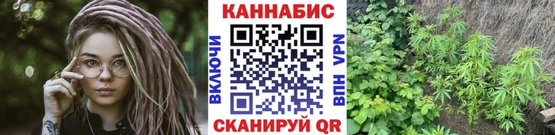 маркетплейс клад  Советск  Конопля OG Kush 